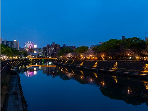穏やかな川面に映る夜の街並み。光に照らされた桜の花と観覧車が特徴的な夜景。